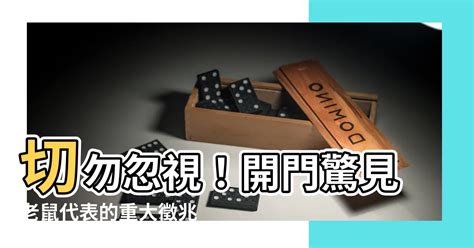 路上看到老鼠代表什麼 體毛多男